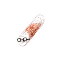 眼鏡ちくわ (@chikuwa_glasses) 's Twitter Profile Photo