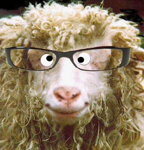 Played Old Ewe in 'Babe' & modelled for Damian Hurst.Grandmother was mistress to General Melchett.Now living in a field & completely barking...