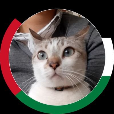 Friend of Free Palestine🍉🍉🍉 Profile