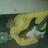 nuro_642's profile image