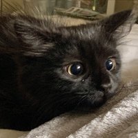 ... (@b3bysharkk) 's Twitter Profile
