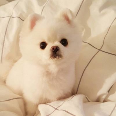 julzsendaydiego's profile picture. All time is no time when it is past.