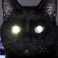 Richie1985 (@richie19852) 's Twitter Profile Photo