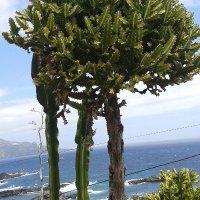 Biene1785 (@kleinebiene1785) 's Twitter Profile Photo Biene1785 (@kleinebiene1785) 's Twitter Profile Photo