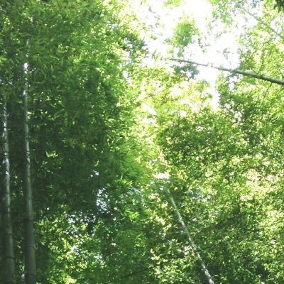 marika0209's profile picture. 20↑ ゆ🌳 無言フォローすみません。