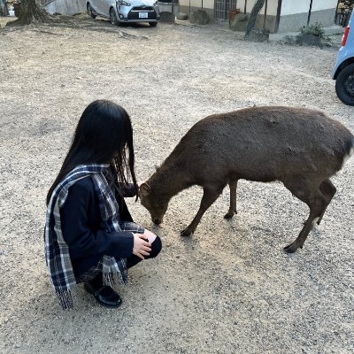 バッグとジュエリーは私の態度を表し、小動物と音楽は私の魂を表します 🛍💍🐱🎶