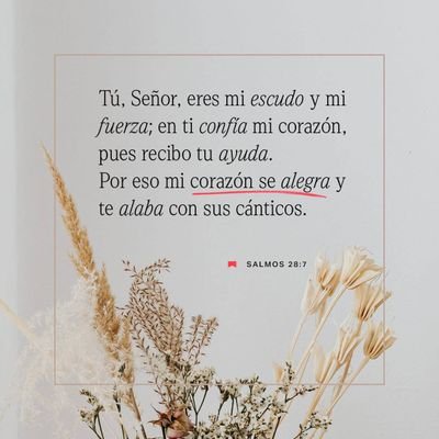 Hombre Cristiano viviendo en amor, fe y esperanza, cuya vida verdadera está escondida en Cristo-Jesús, Señor Dios Todopoderoso.