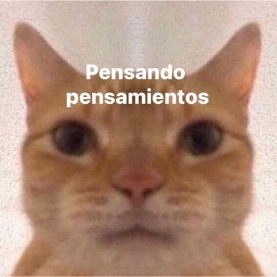 yessmiau8's profile picture. ojalá lino se enamore de mi, qe ganas de morirme