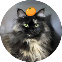 りさりさ (@risarisa55112) 's Twitter Profile Photo