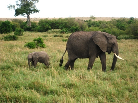 Newsreader9000's profile picture. 