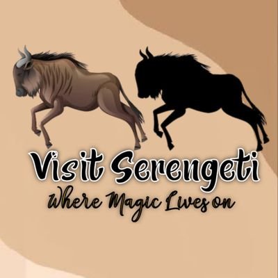 Branding Serengeti | Visit Serengeti
| Welcome to the land of magic | Visit Tanzania | Facebook & Instagram Visit Serengeti