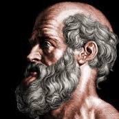 BorgaBruce's profile picture. The 🌎 LIGHT 💡.