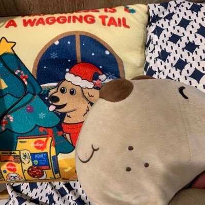 ppwwf's profile picture. 💯互关💯必回