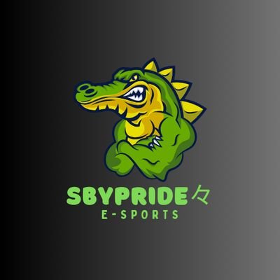 Sbypridepens's profile picture. 
