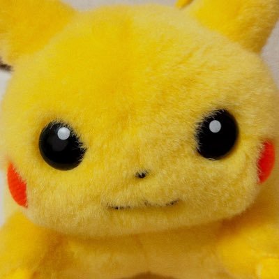 piopio_PIKA Profile Picture