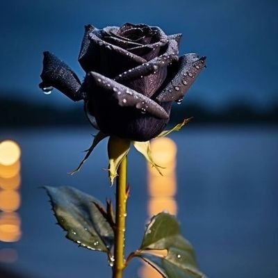 AsamhM87414's profile picture. 