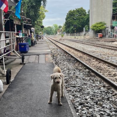 jyunbudou's profile picture. 早慶　広告　通信　メーカー