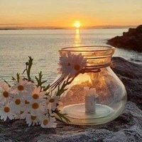 Almosafer (@mohamedabd68702) 's Twitter Profile
