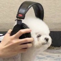 หนูเจ้ย (@noojoeii_) 's Twitter Profile Photo หนูเจ้ย (@noojoeii_) 's Twitter Profile Photo