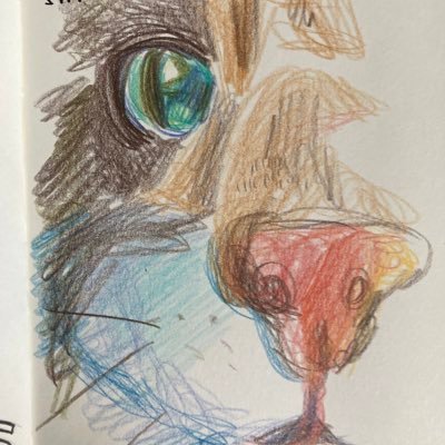 scoutさんのプロフィール画像