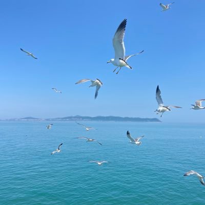 devhuozw's profile picture. 