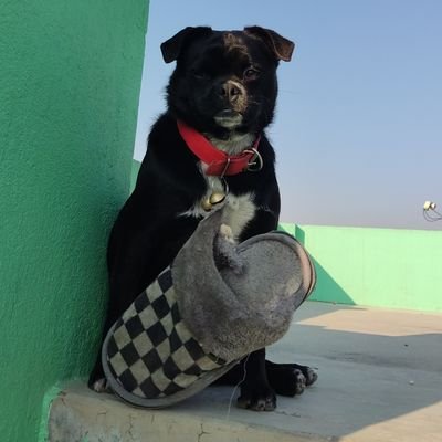 mhrznunnt's profile picture. Happy soul 🤗