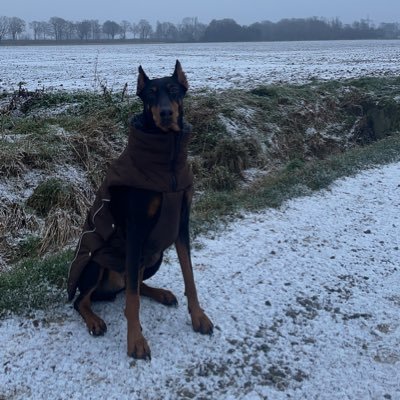 defnoyhel's profile picture. 