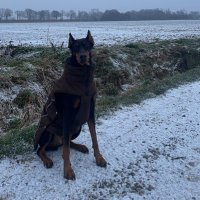 defnoyhel (@defnoyhel) 's Twitter Profile