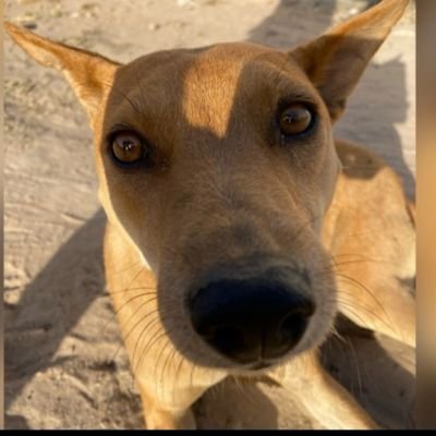 ensa_fatty_'s profile picture. embrace humanity 🤞❤️‍🩹