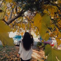 Özge (@ozgetzgl0) 's Twitter Profile