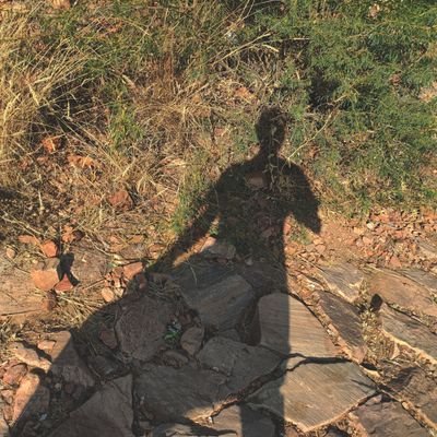 ZabTakHaiJaan's profile picture. Hakuna Matata