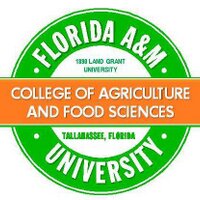 BASE FAMU (@famubase) 's Twitter Profile