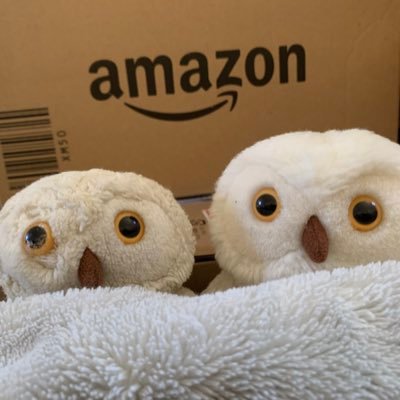 かおる🥦しろまる🦉ちびまる🦉さんのプロフィール画像