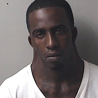 rotntaker's profile picture. 