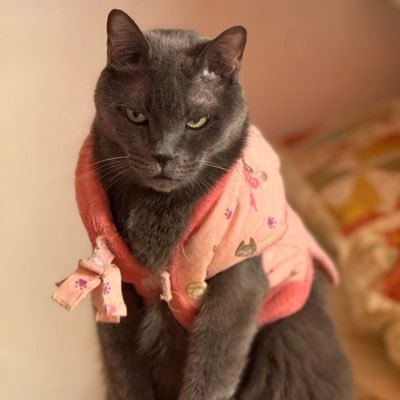 0zw3892y185071k's profile picture. 