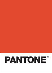 Latest color trends and interesting finds from Pantone