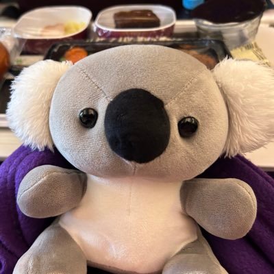 ko_am20240112's profile picture. 2024/1/12 18時〜18時20分頃に兵庫県神戸三ノ宮駅周辺でコアラのぬいぐるみを無くしてしまいました。 ＜特徴＞ 体長：15cm＊12㎝程度 色：グレー 紛失届は出していますが、他にできることの1つとしてXで情報収集を開始しました。 心当たりのある方は情報提供のほど、よろしくお願いいたします。