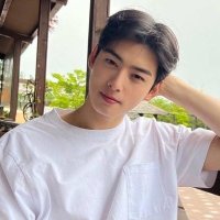 Cha Eun woo (@chaeun2376) 's Twitter Profile