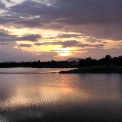 Malimo4437's profile picture. 