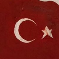 onnuurr (@aslan_kral0771) 's Twitter Profile