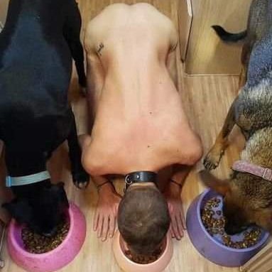 JWall083's profile picture. Dog boy,I want a mistress!
Wof wof!!