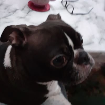 mariepenrice's profile picture. 