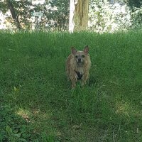 Jacqueline ๐๐ต๐ธ๐ป (@jacquel5444854) 's Twitter Profile Photo Jacqueline ๐๐ต๐ธ๐ป (@jacquel5444854) 's Twitter Profile Photo