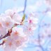 🌸 (@hanaorflowey) Twitter profile photo 🌸 (@hanaorflowey) Twitter profile photo