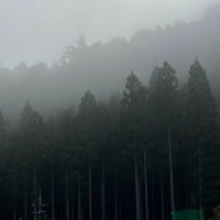 shu (@15_bxx) 's Twitter Profile