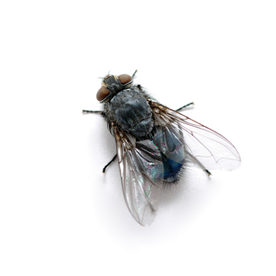 pokemonWAV's profile picture. je fais des prods, je veux bosser chez colors 
on lache rien