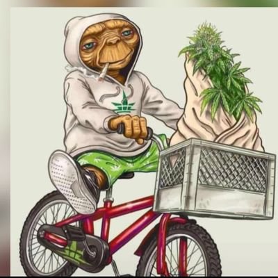 oscarbud23's profile picture. 