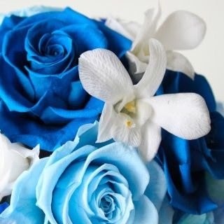 jirainojiraco's profile picture. 雑多垢｜主に美容、ボディメイク、ファッション、ランジェリー、ハンドメイドアクセサリー