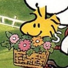 Whey!さんのプロフィール画像