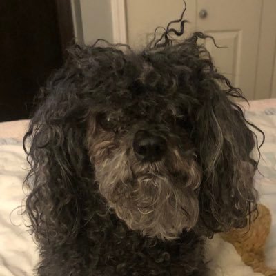 swaknkyfnd's profile picture. 